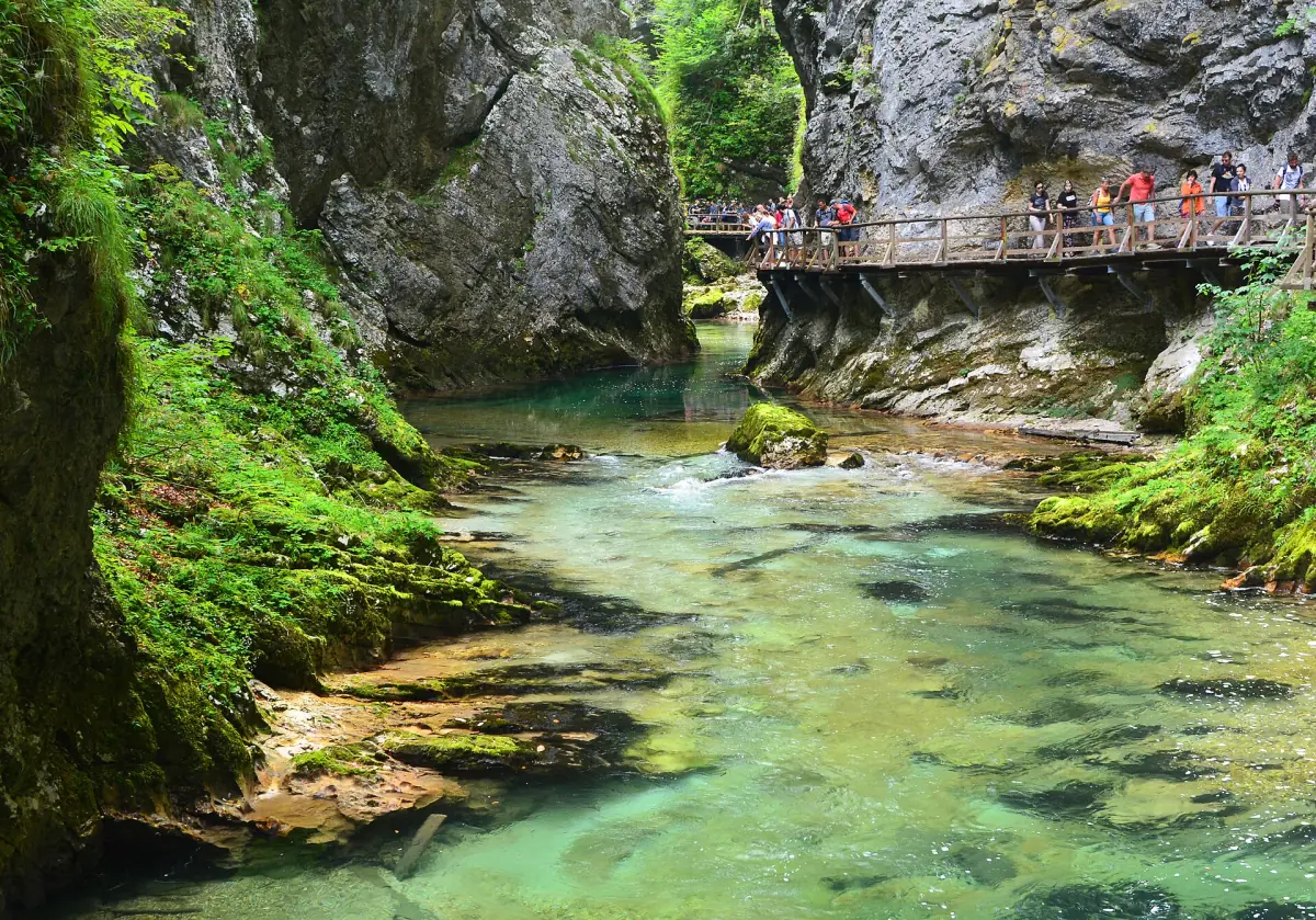 Boardwalk above the green water of Vintgar Gorge