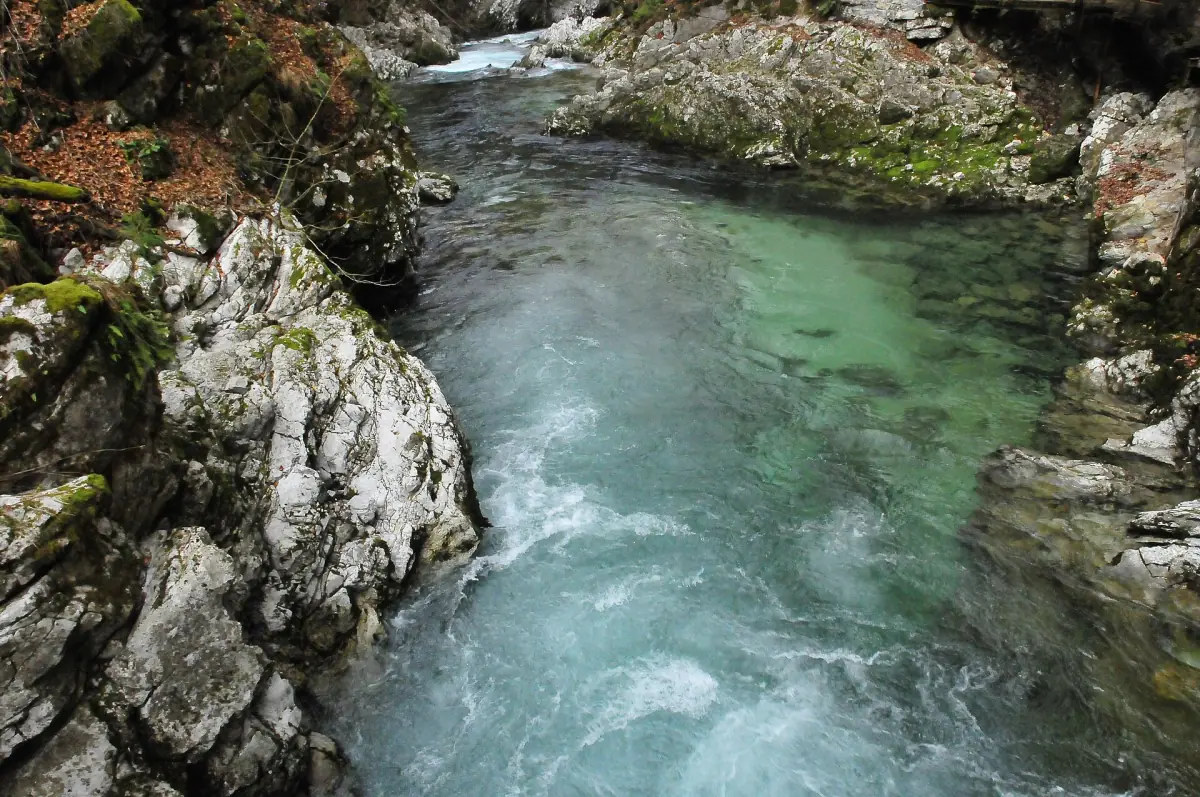 The Radovna river in Vintgar Gorge